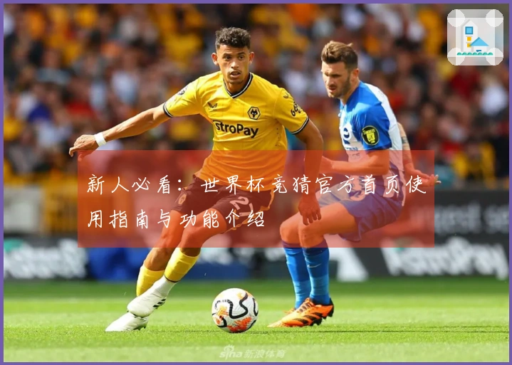 新人必看：世界杯竞猜官方首页使用指南与功能介绍