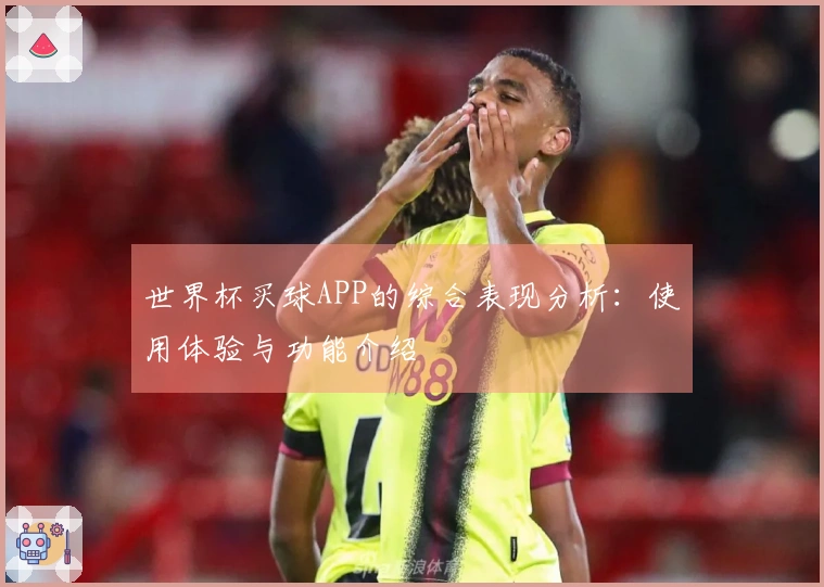 世界杯买球APP的综合表现分析：使用体验与功能介绍