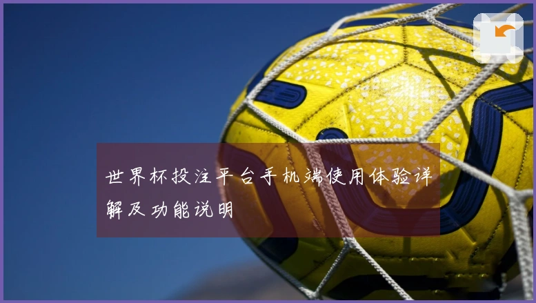 世界杯投注平台手机端使用体验详解及功能说明