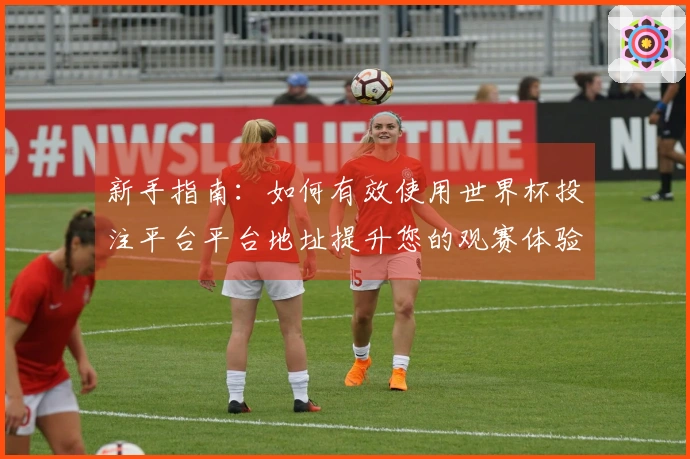 新手指南：如何有效使用世界杯投注平台平台地址提升您的观赛体验
