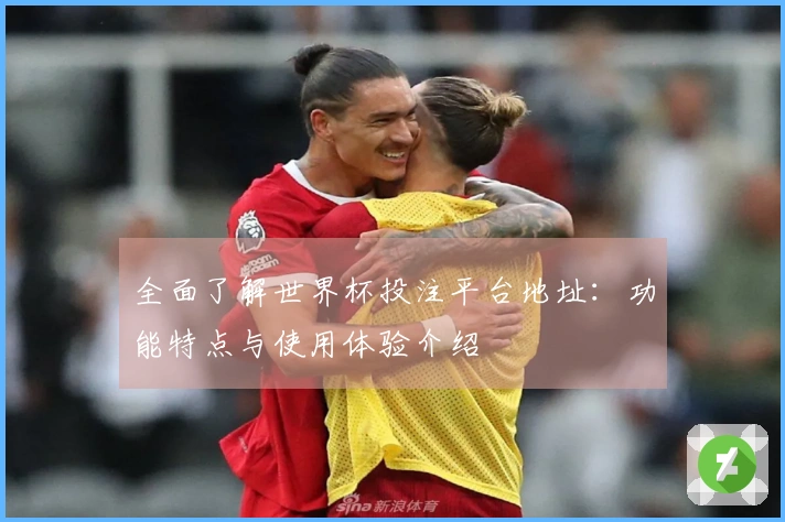 全面了解世界杯投注平台地址：功能特点与使用体验介绍