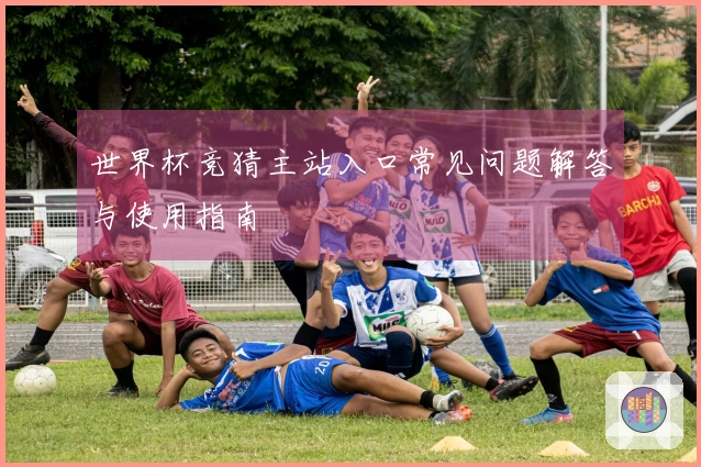 世界杯竞猜主站入口常见问题解答与使用指南