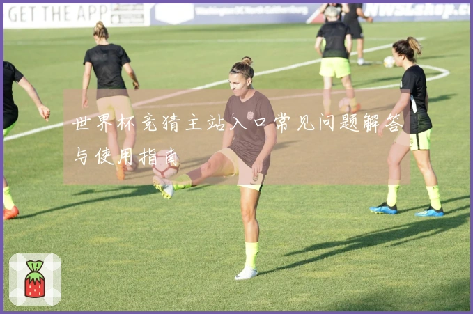 世界杯竞猜主站入口常见问题解答与使用指南