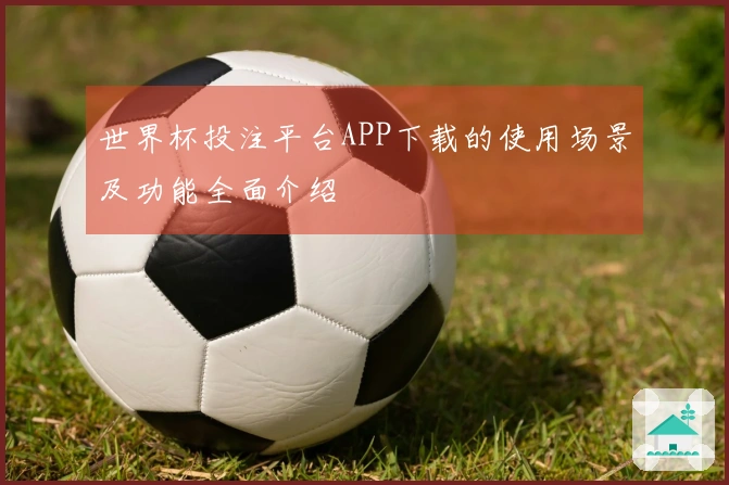 世界杯投注平台APP下载的使用场景及功能全面介绍