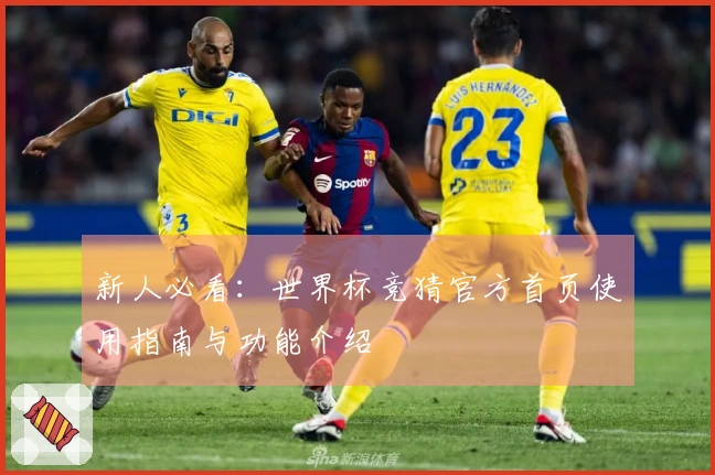 新人必看：世界杯竞猜官方首页使用指南与功能介绍