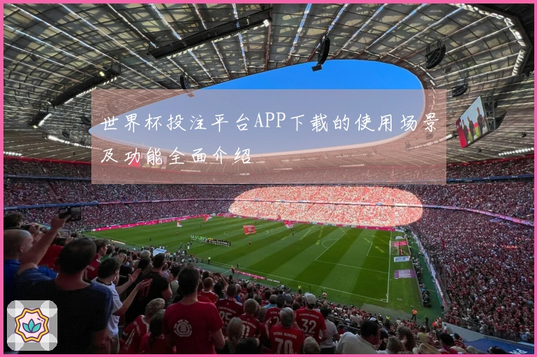 世界杯投注平台APP下载的使用场景及功能全面介绍