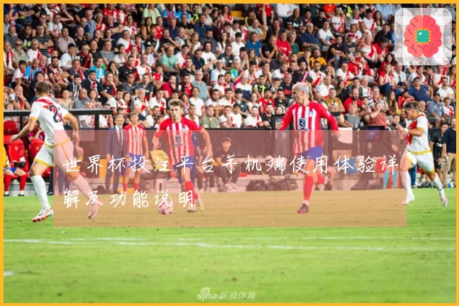 世界杯投注平台手机端使用体验详解及功能说明