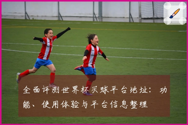 全面评测世界杯买球平台地址:功能、使用体验与平台信息整理