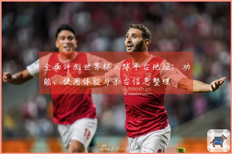 全面评测世界杯买球平台地址：功能、使用体验与平台信息整理