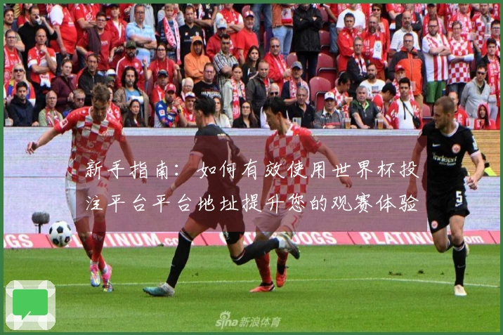 新手指南：如何有效使用世界杯投注平台平台地址提升您的观赛体验